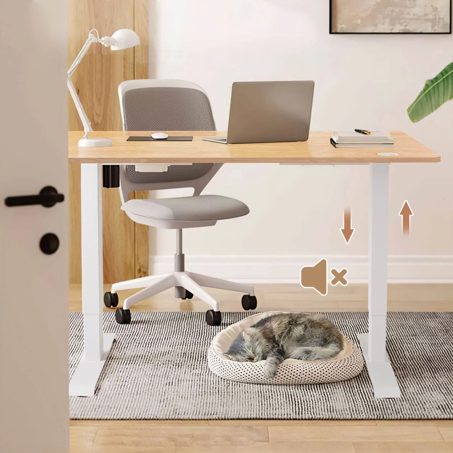 Elektrisch Höhenverstellbarer Schreibtisch 120X60 cm  mit voller Arbeitsfläche - Image 4