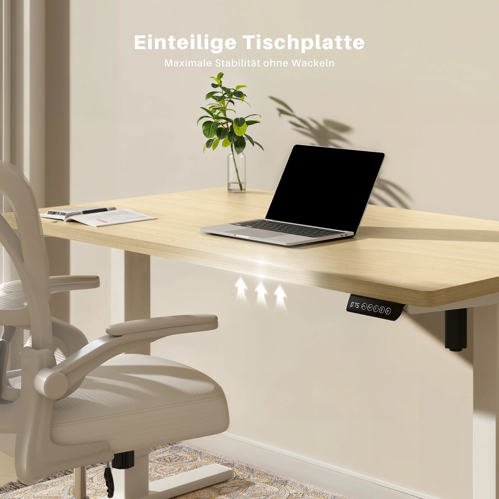 Basic Höhenverstellbarer Schreibtisch mit Entire Board Desktop - Image 3