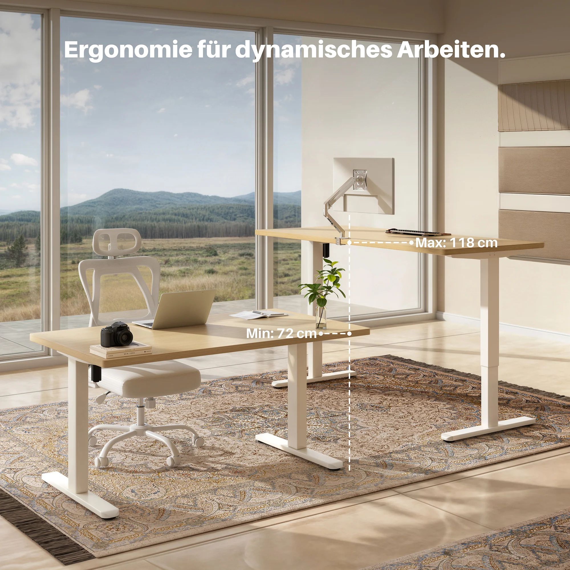 Basic Höhenverstellbarer Schreibtisch mit Entire Board Desktop - Image 7