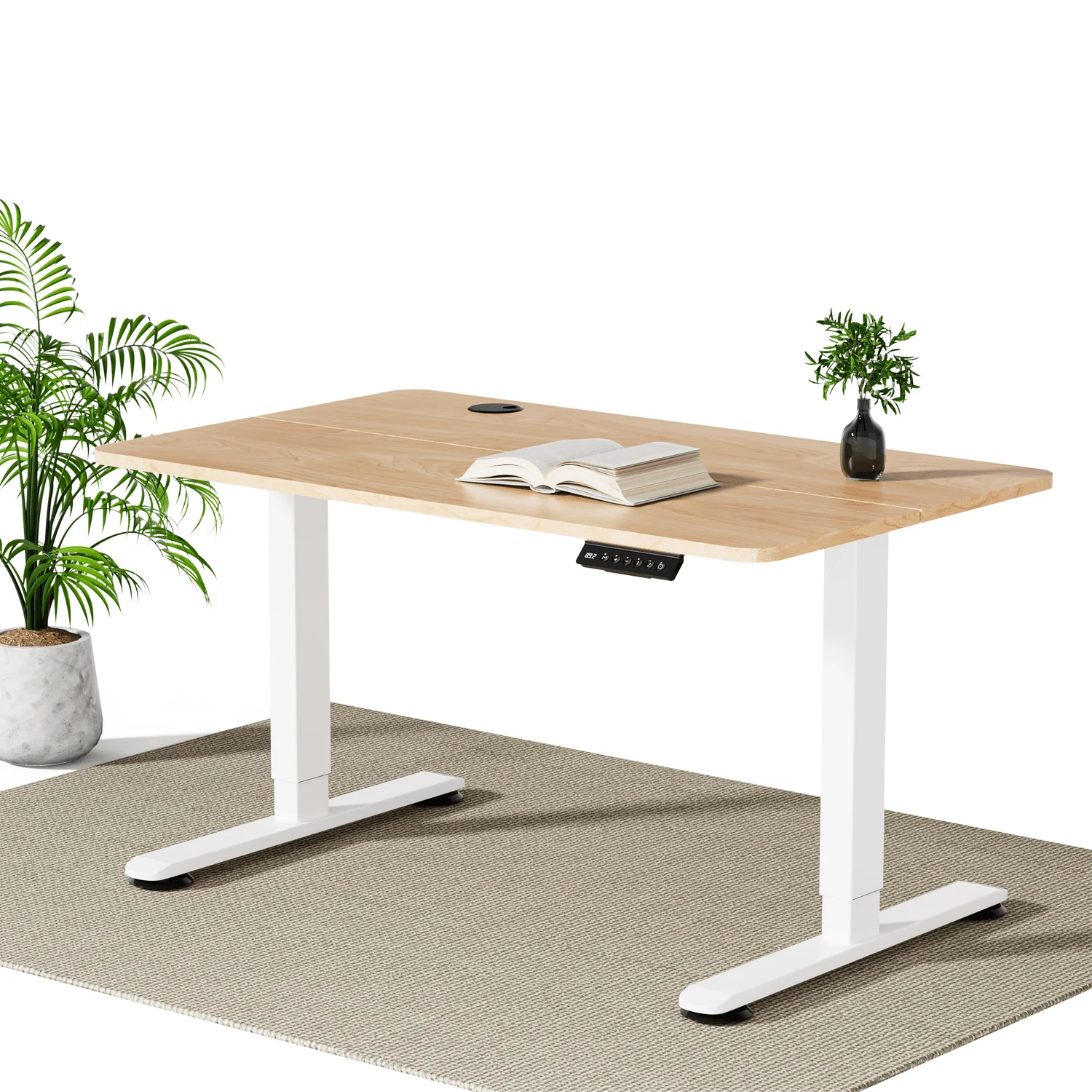 Economy Elektrisch Höhenverstellbarer Schreibtisch - Image 22