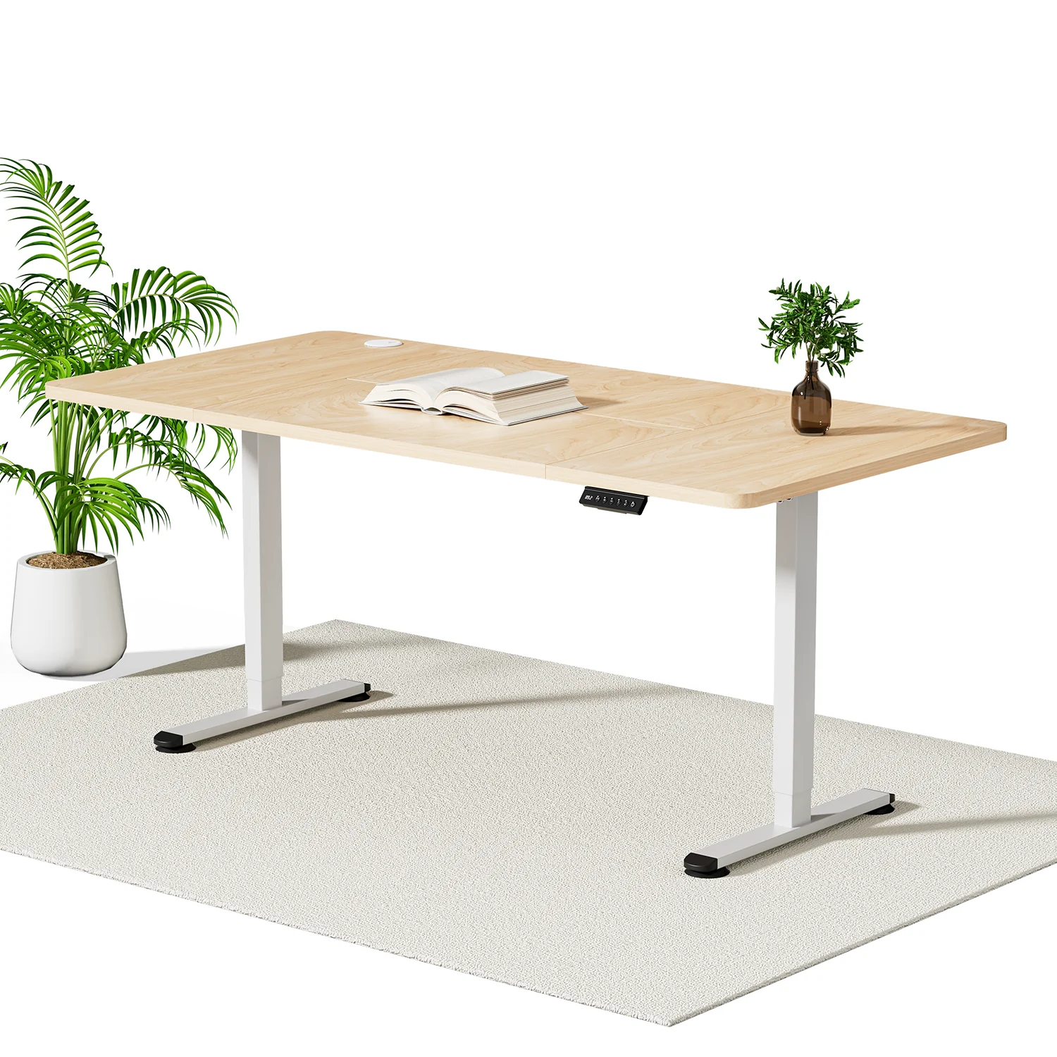 Economy Elektrisch Höhenverstellbarer Schreibtisch - Image 28