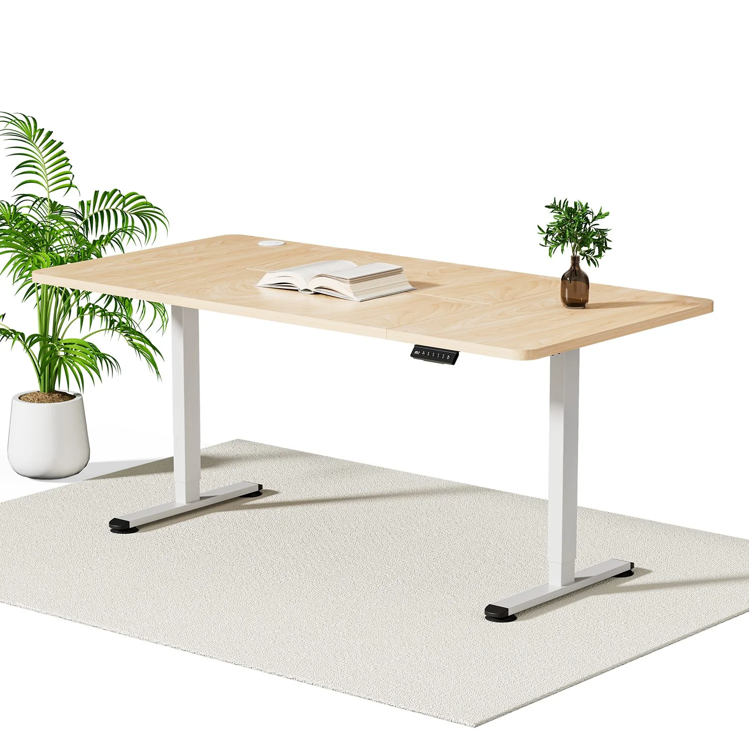 Economy Elektrisch Höhenverstellbarer Schreibtisch - Image 40