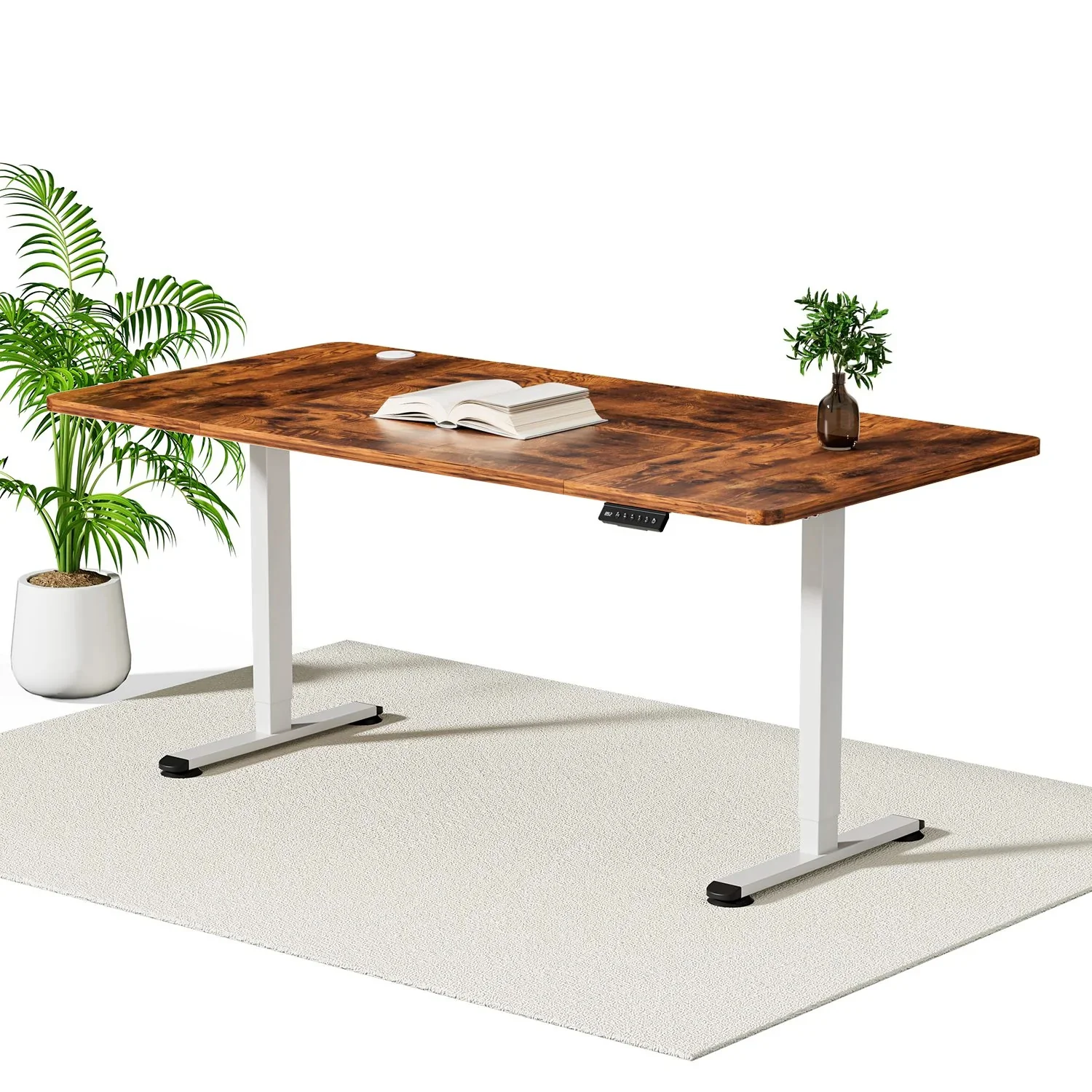 Economy Elektrisch Höhenverstellbarer Schreibtisch - Image 43