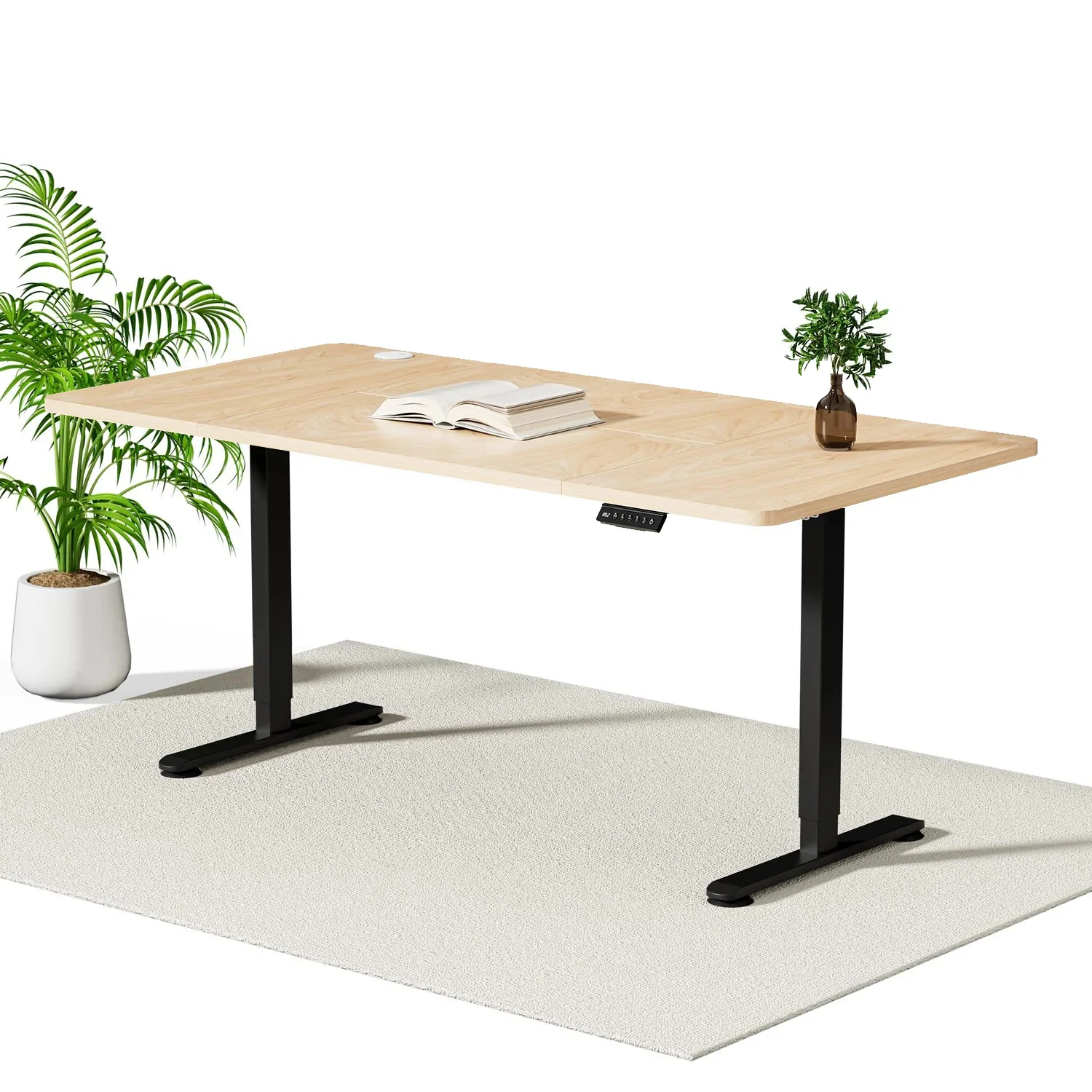 Economy Elektrisch Höhenverstellbarer Schreibtisch - Image 44