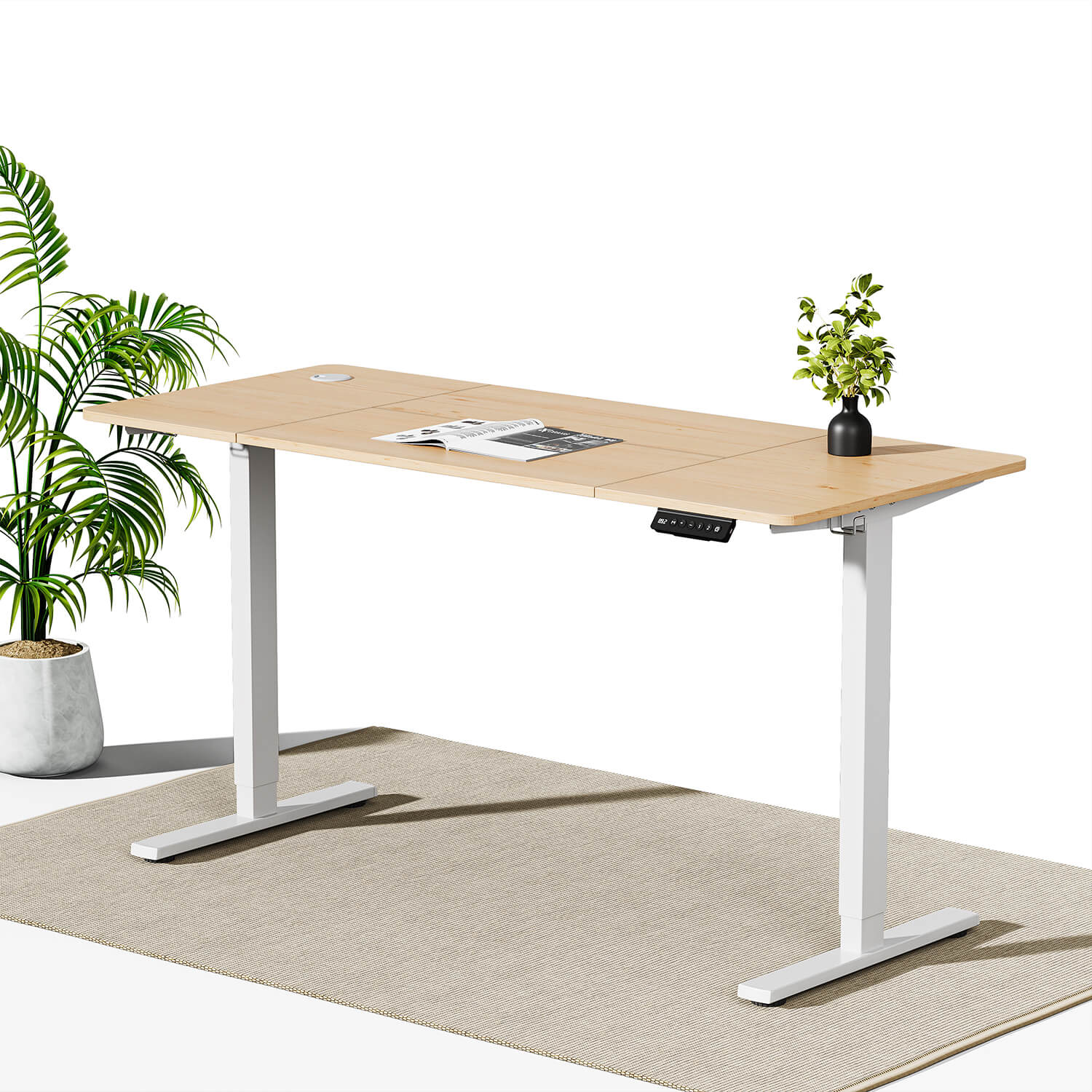 Economy Elektrisch Höhenverstellbarer Schreibtisch - Image 48