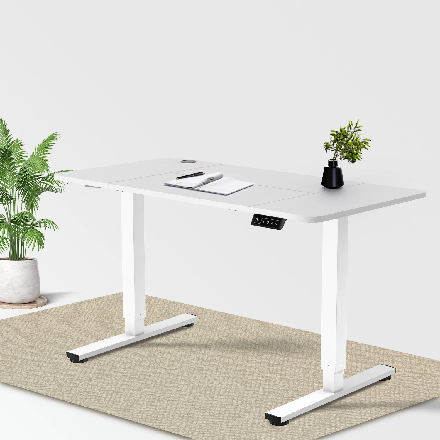 Economy Elektrisch Höhenverstellbarer Schreibtisch - Image 7