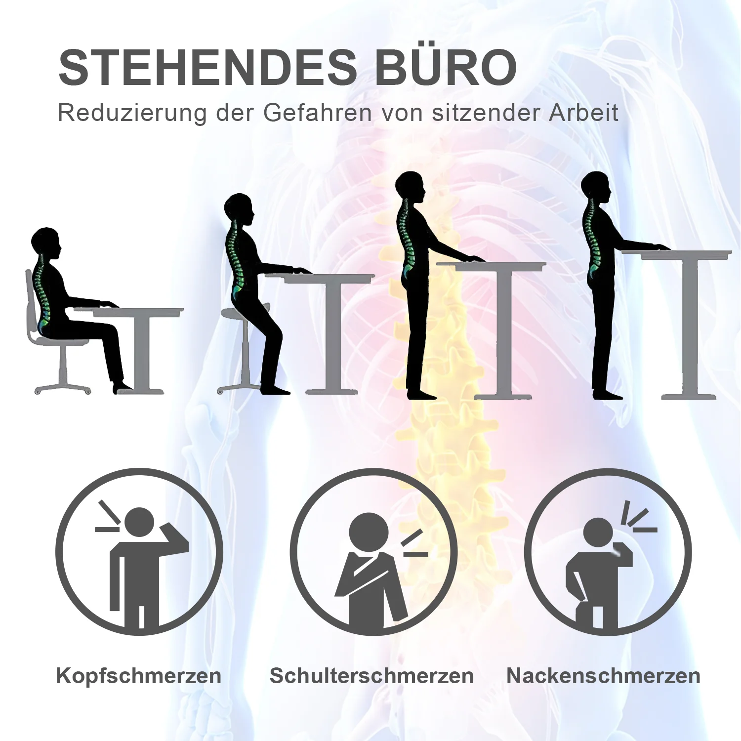 Einzelmotor Höhenverstellbares Tischgestell - Image 18