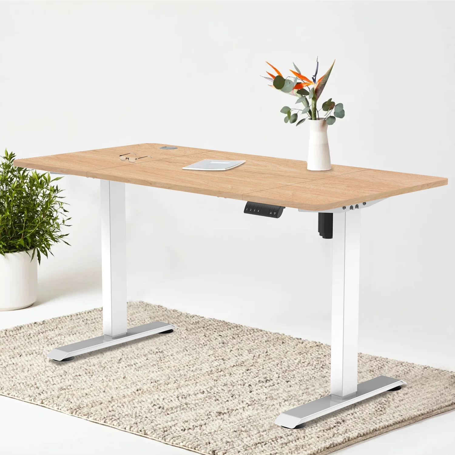 Pro Elektrisch Höhenverstellbarer Schreibtisch - Image 13