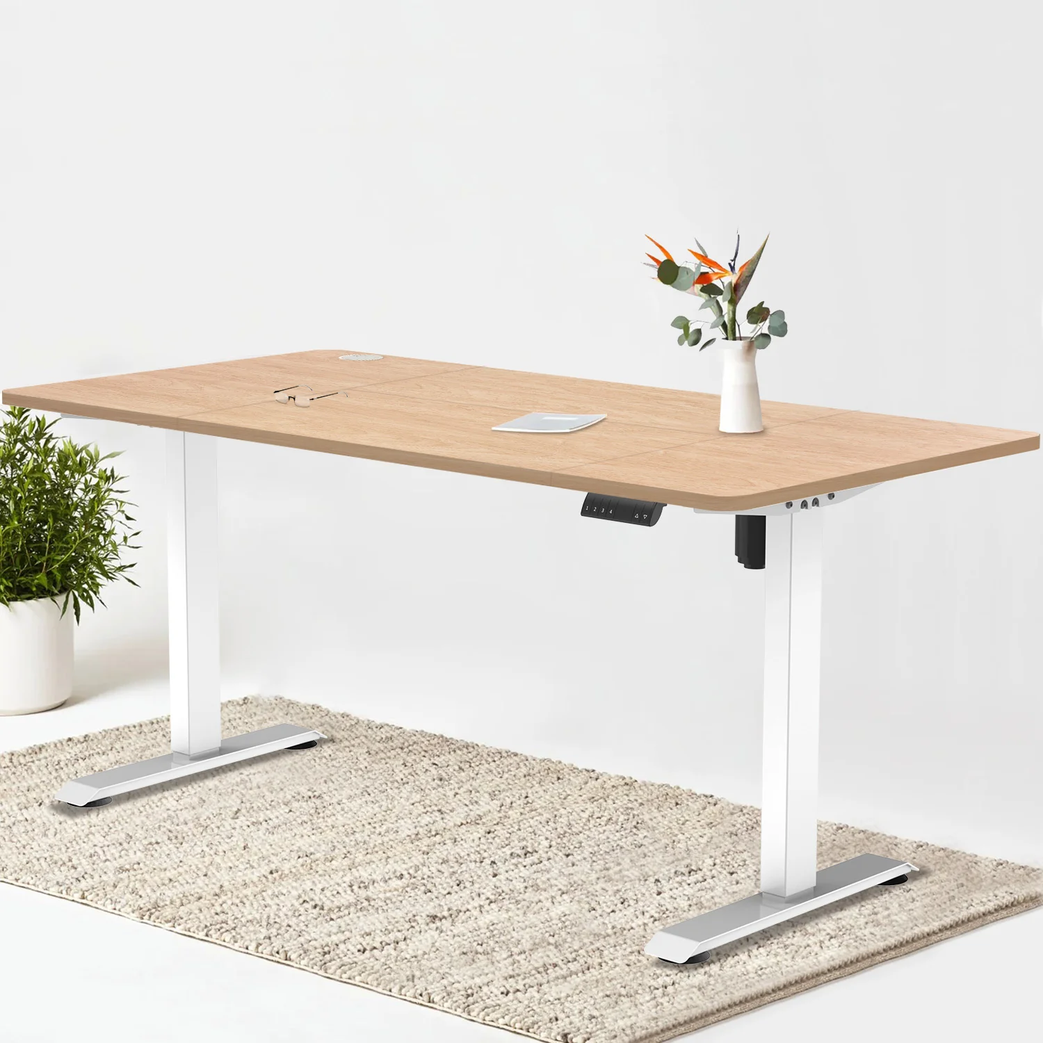 Pro Elektrisch Höhenverstellbarer Schreibtisch - Image 27