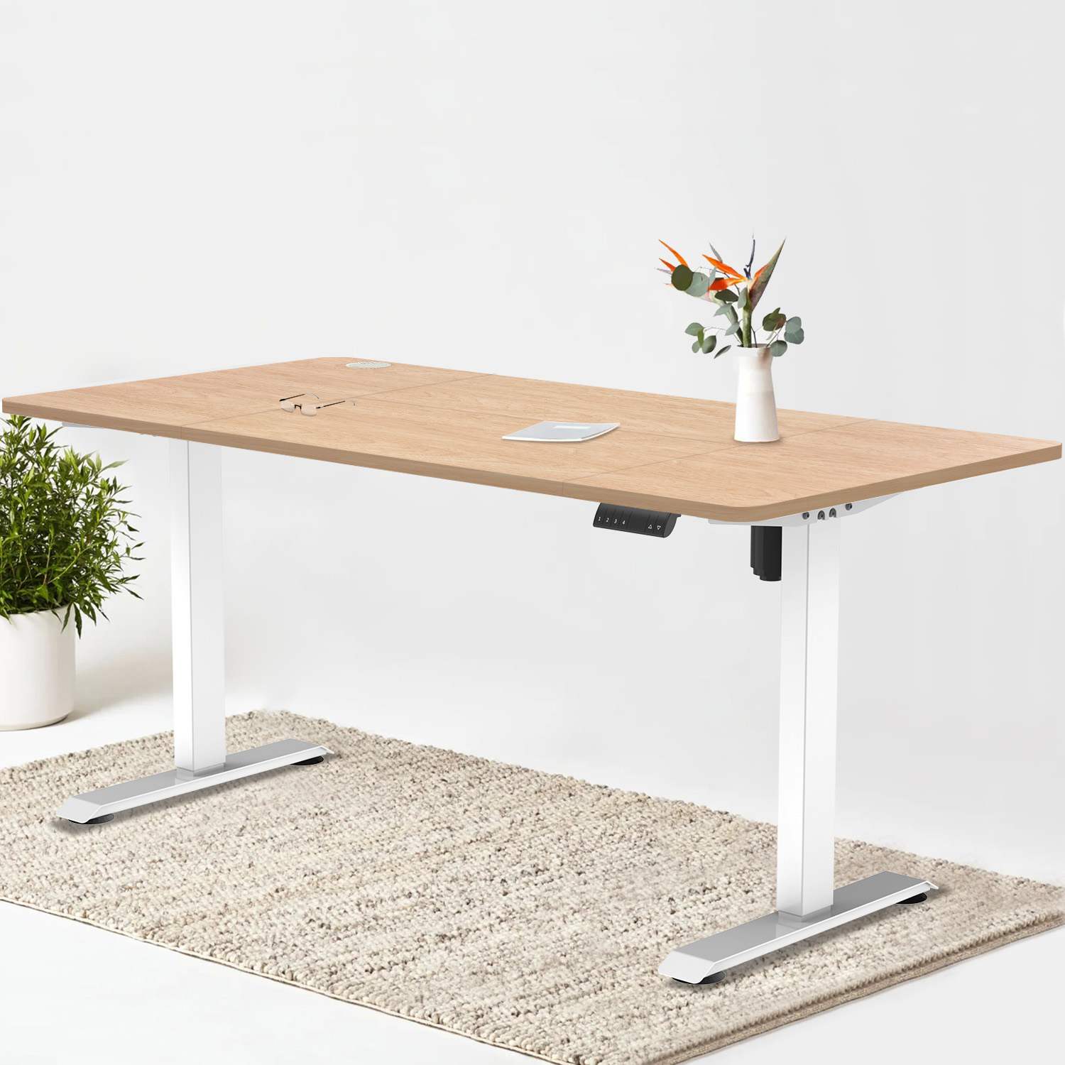 Pro Elektrisch Höhenverstellbarer Schreibtisch - Image 30