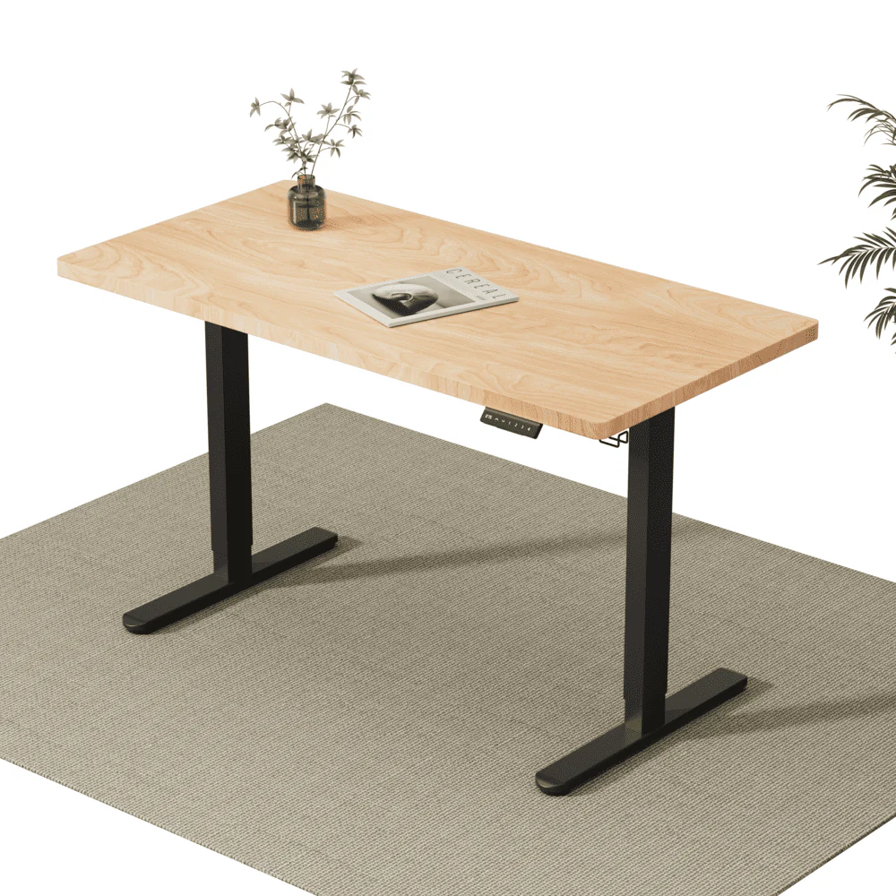 V2 Ultra Elektrisch Höhenverstellbarer Schreibtisch mit Doppelmotor - Image 30